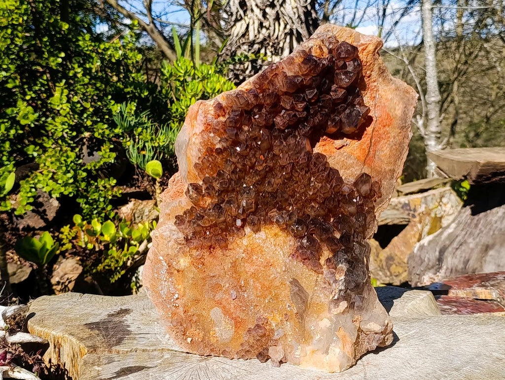 Natural XL Cascading Smokey Amethyst Window Quartz Cluster x 1 From New Schwaben, Namibia
