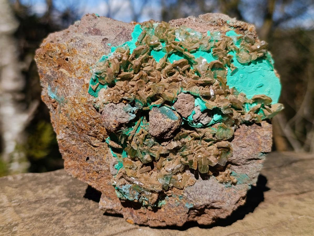 Natural Large Barite with Malachite Specimen on a Dolomite Matrix x 1 From Shangulowe Mine, Congo