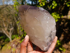 Natural Large Cascading Smokey Tessin Quartz Crystal x 1 From Mulanje, Malawi
