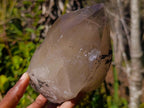 Natural Large Cascading Smokey Tessin Quartz Crystal x 1 From Mulanje, Malawi