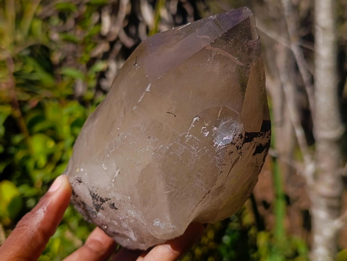 Natural Large Cascading Smokey Tessin Quartz Crystal x 1 From Mulanje, Malawi