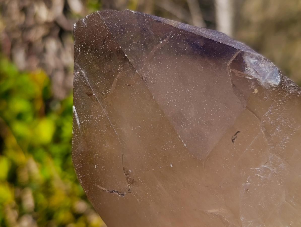 Natural Large Cascading Smokey Tessin Quartz Crystal x 1 From Mulanje, Malawi