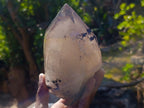 Natural Large Cascading Smokey Tessin Quartz Crystal x 1 From Mulanje, Malawi