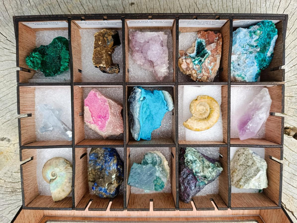 Polished and Natural Mixed Set of 15 African Specimens in a Wooden Display Box x 1 From Southern Africa