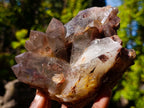 Natural Black Phantom Hematoid Quartz Cluster x 1 From Orange River, South Africa