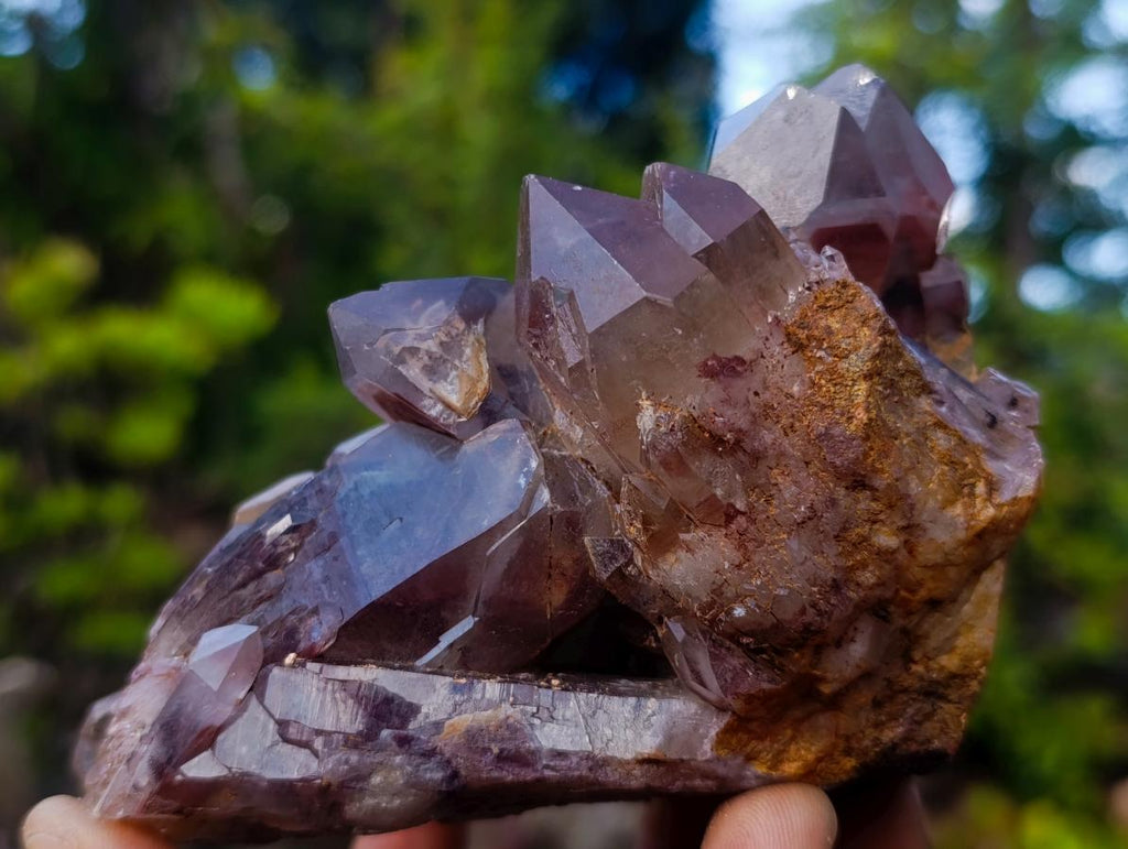 Natural Black Phantom Hematoid Quartz Cluster x 1 From Orange River, South Africa