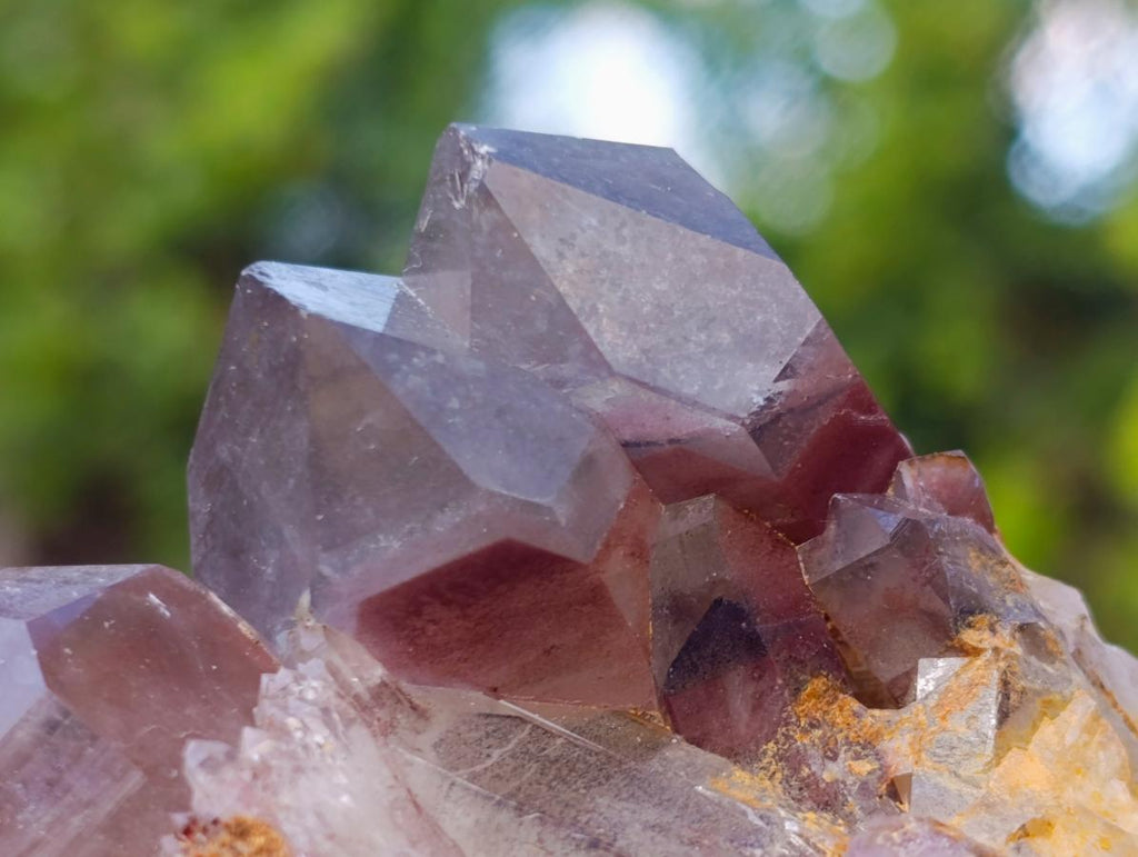 Natural Black Phantom Hematoid Quartz Cluster x 1 From Orange River, South Africa