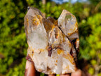 Natural Bright Clear Luena Quartz Crystal Cluster x 1 From Luena, Congo