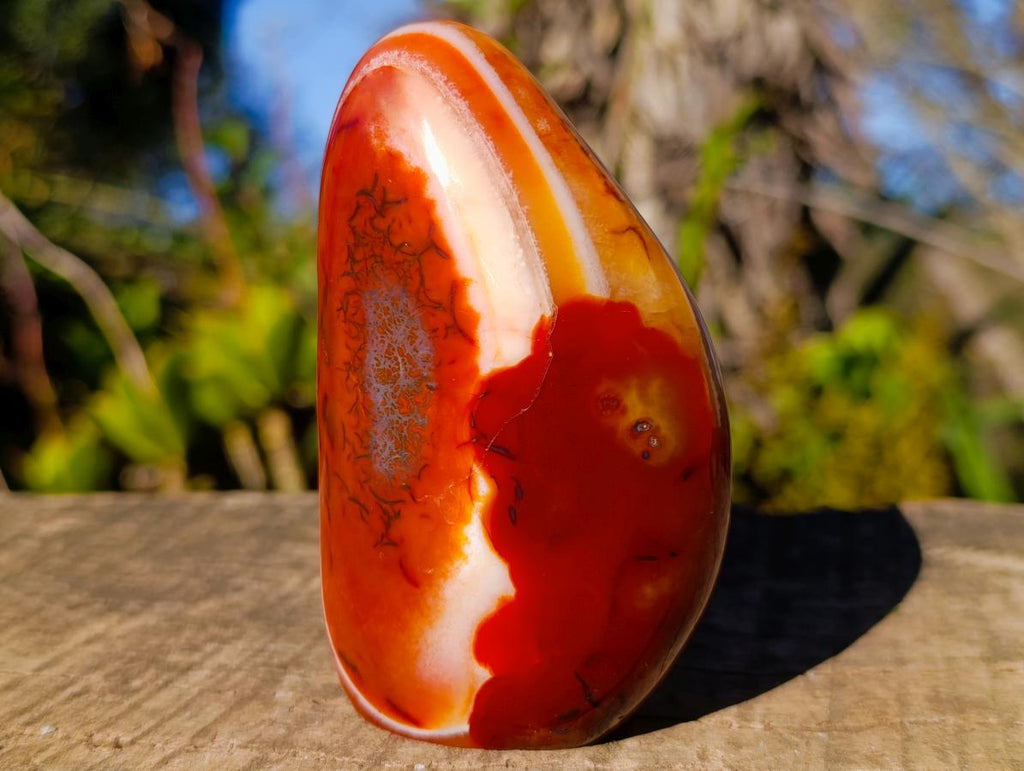 Polished Carnelian Gemstone Standing Display Piece x 1 From Madagascar
