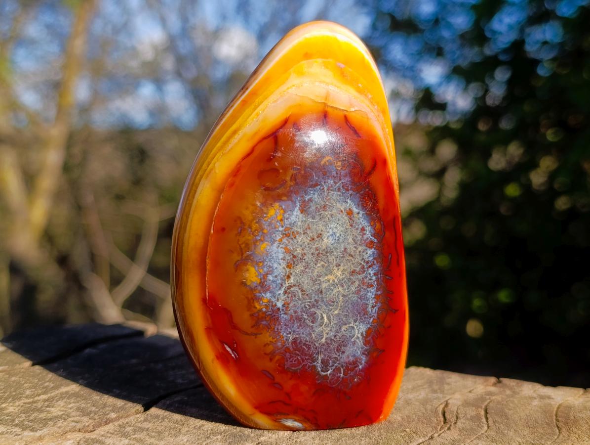 Polished Carnelian Gemstone Standing Display Piece x 1 From Madagascar