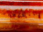 Polished Carnelian Gemstone Standing Display Piece x 1 From Madagascar