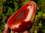 Polished Carnelian Gemstone Standing Display Piece x 1 From Madagascar