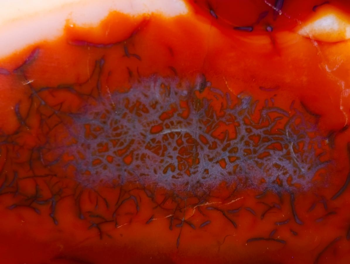 Polished Carnelian Gemstone Standing Display Piece x 1 From Madagascar