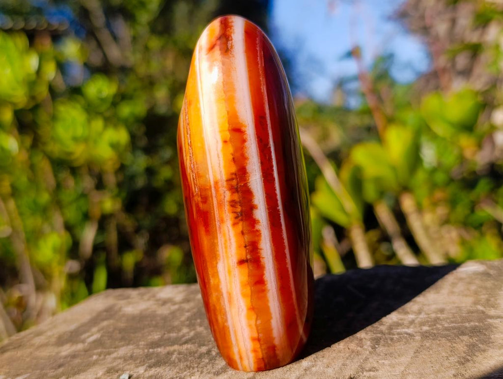 Polished Carnelian Gemstone Standing Display Piece x 1 From Madagascar