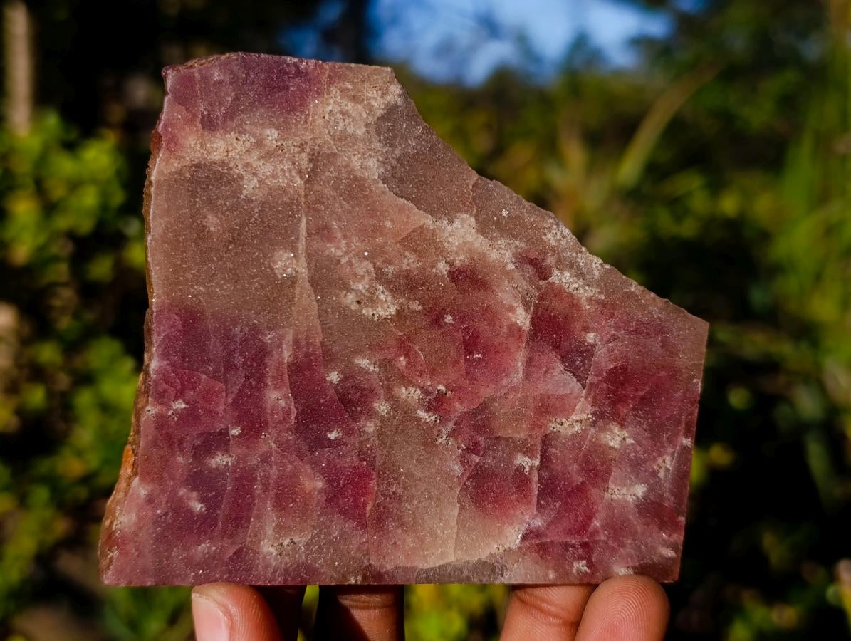 Polished Ultra Rare Pink Transvaal Jade Slice x 1 From Rustenburg, South Africa