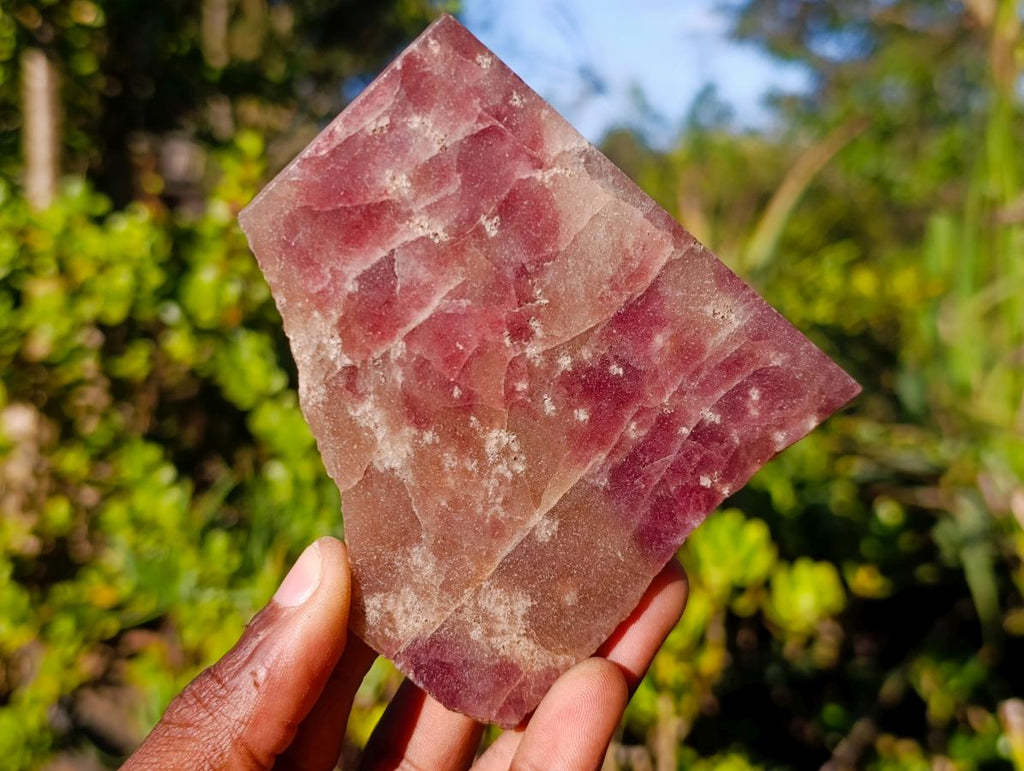 Polished Ultra Rare Pink Transvaal Jade Slice x 1 From Rustenburg, South Africa