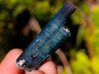 Natural Ultra Rare Blue Indicolite Tourmaline Crystal x 1 From Karibib, Namibia