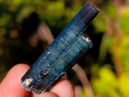 Natural Ultra Rare Blue Indicolite Tourmaline Crystal x 1 From Karibib, Namibia