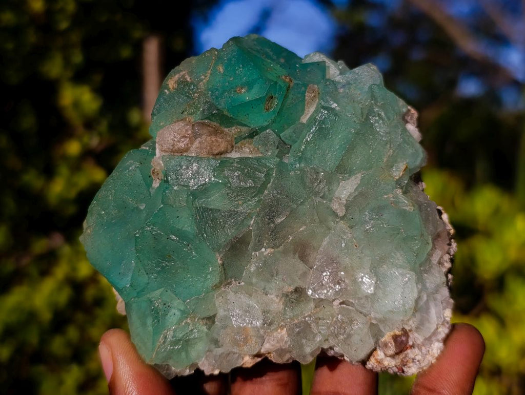 Natural Riemvasmaak Fluorite Specimen x 1 From Riemvasmaak, South Africa