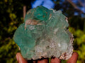 Natural Riemvasmaak Fluorite Specimen x 1 From Riemvasmaak, South Africa
