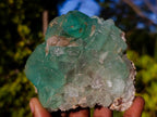 Natural Riemvasmaak Fluorite Specimen x 1 From Riemvasmaak, South Africa