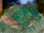 Natural Riemvasmaak Fluorite Specimen x 1 From Riemvasmaak, South Africa