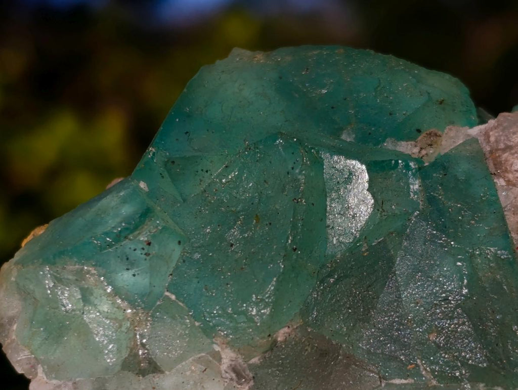 Natural Riemvasmaak Fluorite Specimen x 1 From Riemvasmaak, South Africa
