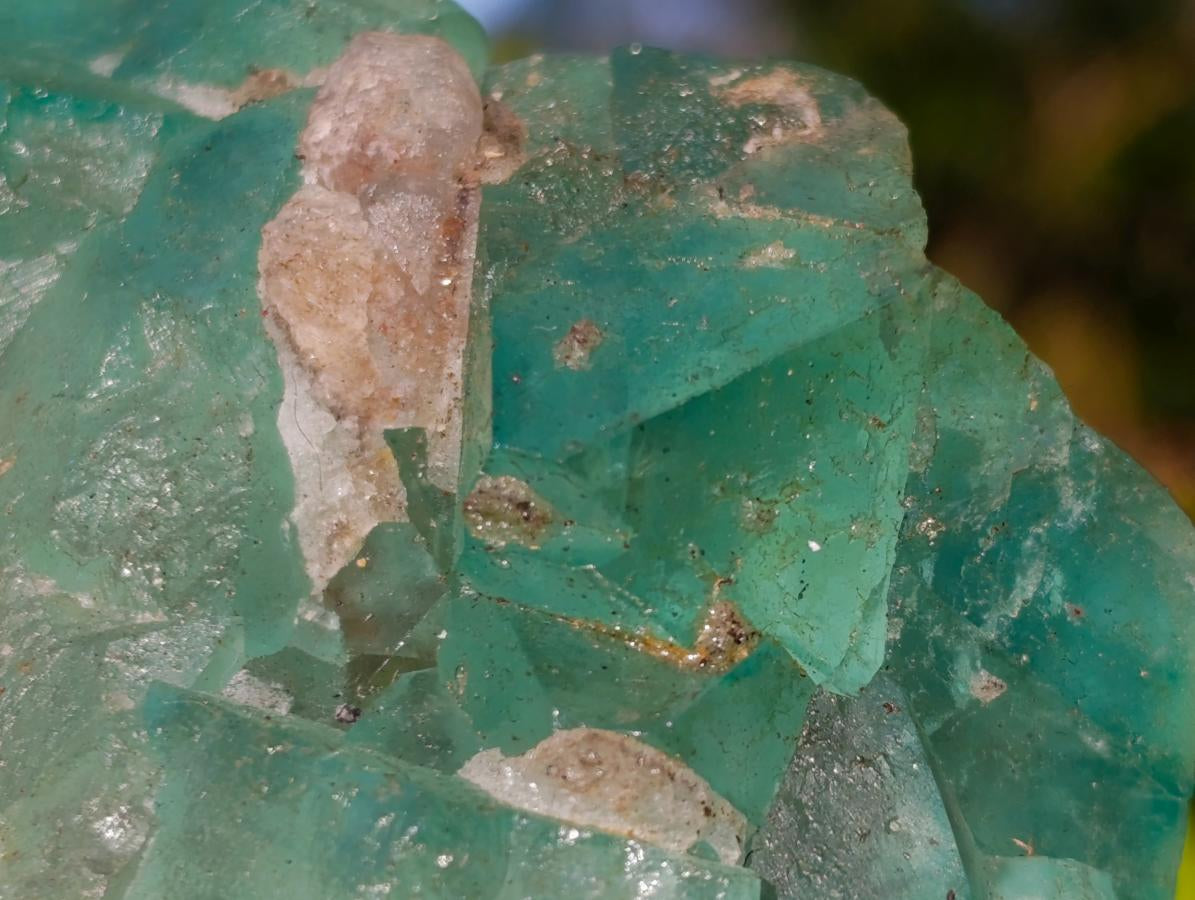 Natural Riemvasmaak Fluorite Specimen x 1 From Riemvasmaak, South Africa