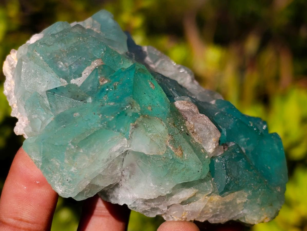 Natural Riemvasmaak Fluorite Specimen x 1 From Riemvasmaak, South Africa