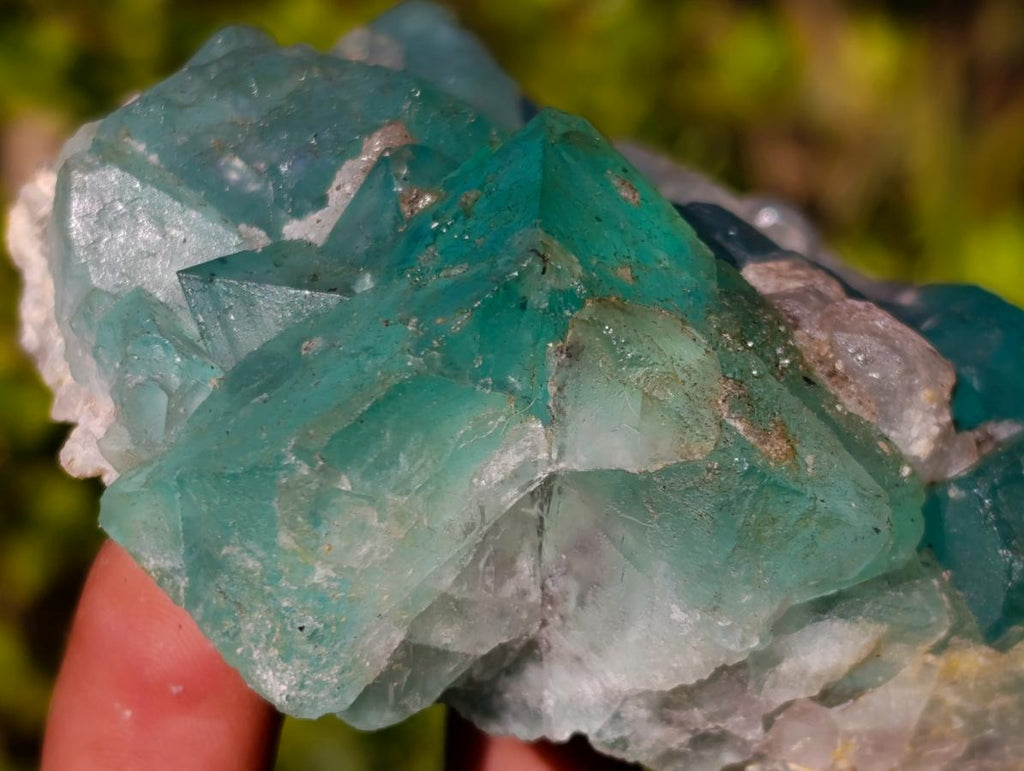 Natural Riemvasmaak Fluorite Specimen x 1 From Riemvasmaak, South Africa