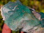 Natural Riemvasmaak Fluorite Specimen x 1 From Riemvasmaak, South Africa