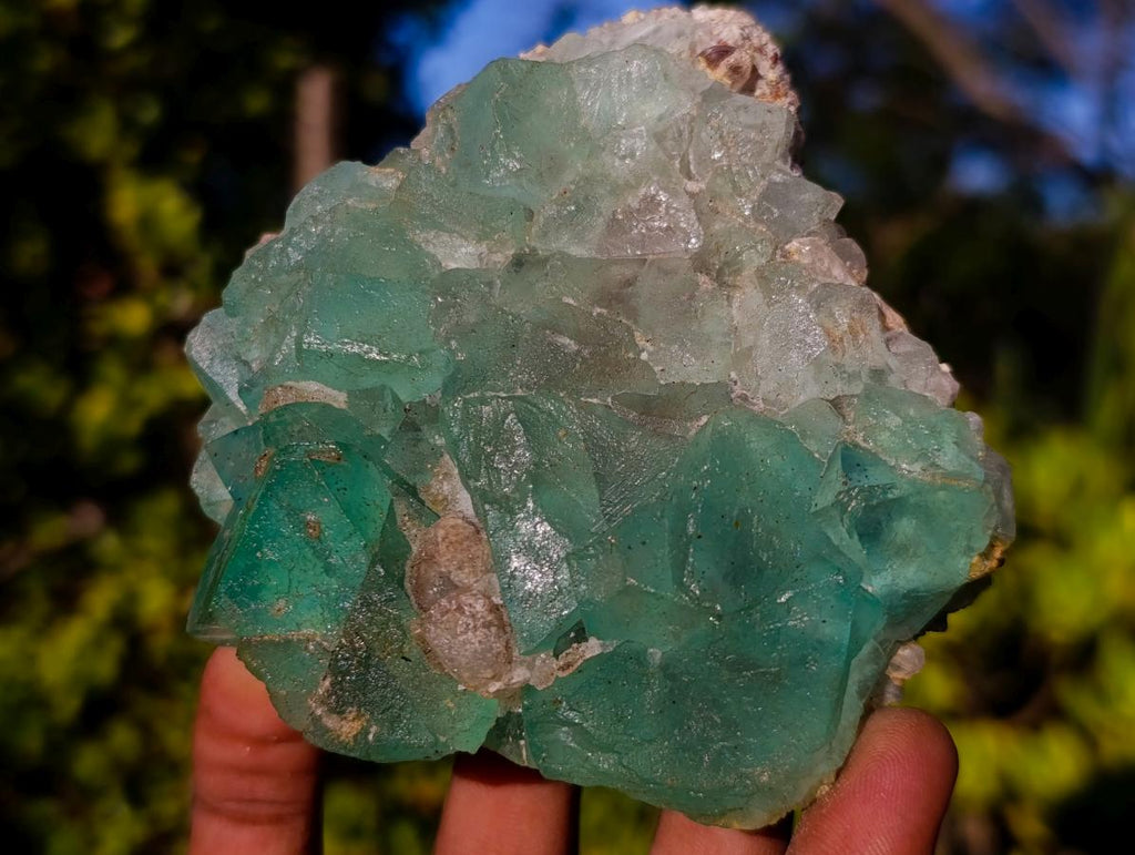 Natural Riemvasmaak Fluorite Specimen x 1 From Riemvasmaak, South Africa
