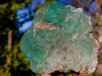 Natural Riemvasmaak Fluorite Specimen x 1 From Riemvasmaak, South Africa