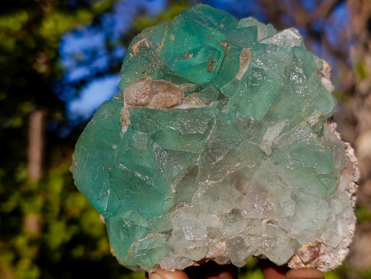 Natural Riemvasmaak Fluorite Specimen x 1 From Riemvasmaak, South Africa