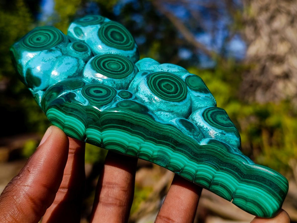 Polished "Eye" Ring Patterned Malacolla Free Form x 1 From Kulukuluku, Congo