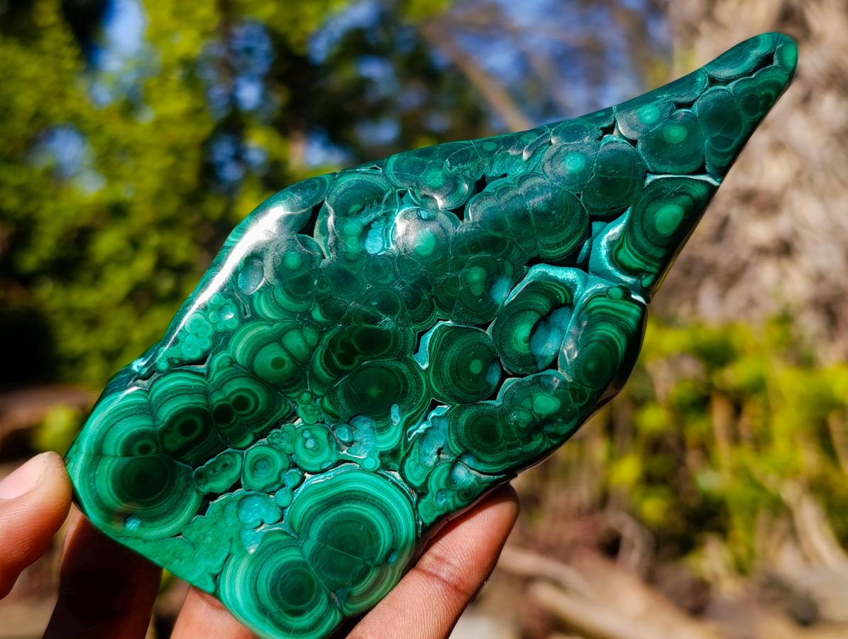 Polished "Eye" Ring Patterned Malacolla Free Form x 1 From Kulukuluku, Congo