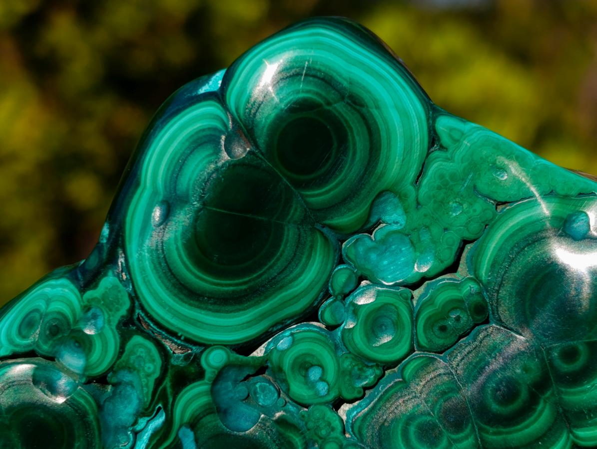 Polished "Eye" Ring Patterned Malacolla Free Form x 1 From Kulukuluku, Congo