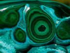 Polished "Eye" Ring Patterned Malacolla Free Form x 1 From Kulukuluku, Congo