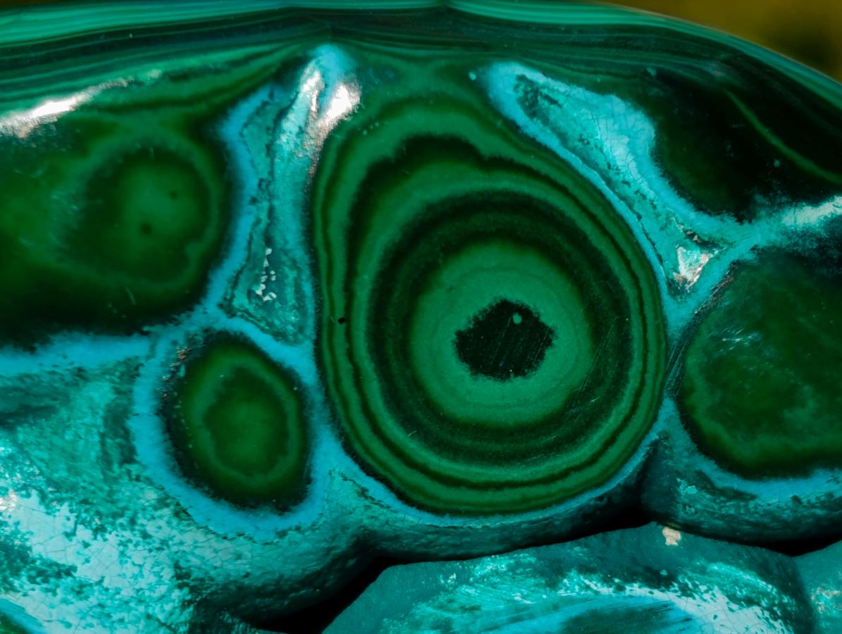 Polished "Eye" Ring Patterned Malacolla Free Form x 1 From Kulukuluku, Congo