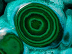 Polished "Eye" Ring Patterned Malacolla Free Form x 1 From Kulukuluku, Congo