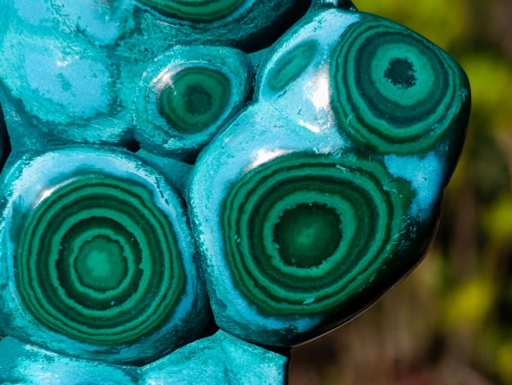Polished "Eye" Ring Patterned Malacolla Free Form x 1 From Kulukuluku, Congo