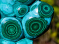 Polished "Eye" Ring Patterned Malacolla Free Form x 1 From Kulukuluku, Congo