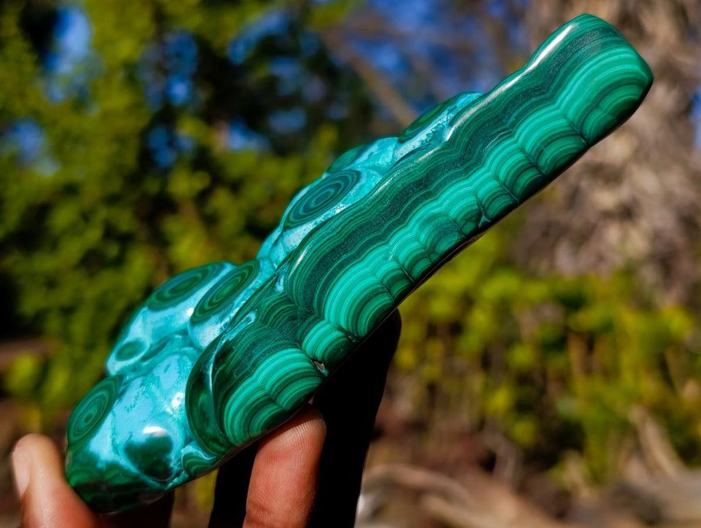 Polished "Eye" Ring Patterned Malacolla Free Form x 1 From Kulukuluku, Congo