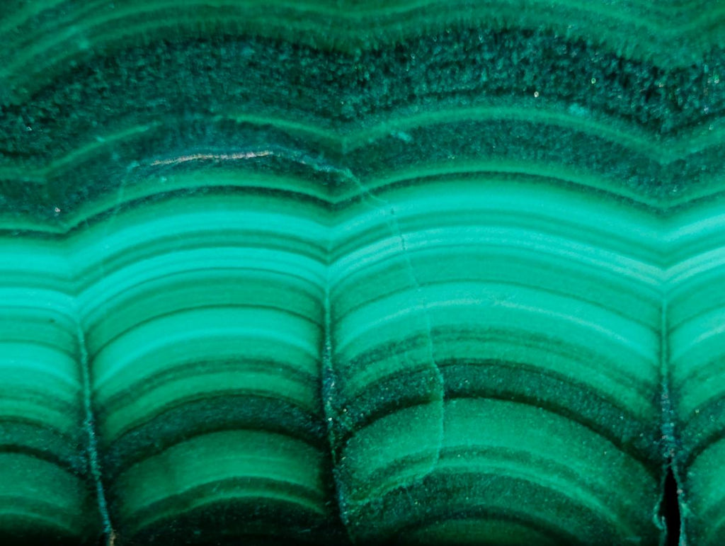Polished "Eye" Ring Patterned Malacolla Free Form x 1 From Kulukuluku, Congo
