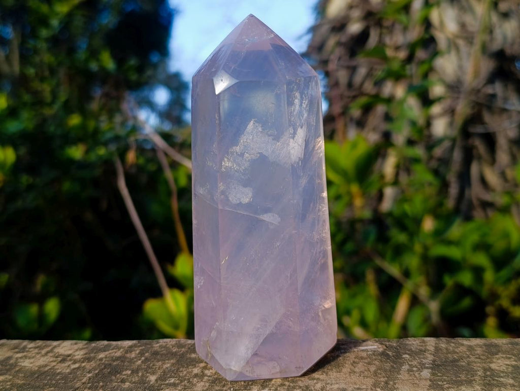 Polished Large Gemmy Pink Rose Quartz Display Crystal x 1 From Ambatondrazaka Madagascar