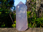 Polished Large Gemmy Pink Rose Quartz Display Crystal x 1 From Ambatondrazaka Madagascar