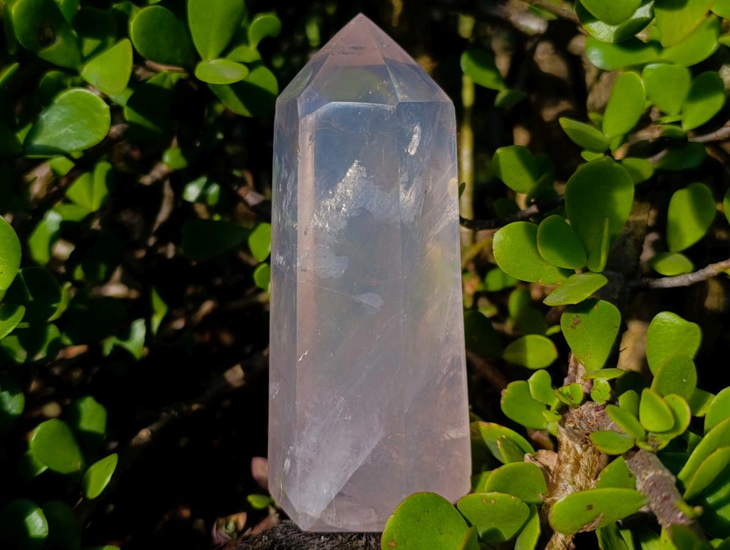 Polished Large Gemmy Pink Rose Quartz Display Crystal x 1 From Ambatondrazaka Madagascar