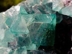 Natural Large Cabinet Size Riemvasmaak Bipyramidal Fluorite Specimen x 1 From Riemvasmaak, South Africa