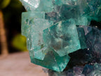 Natural Large Cabinet Size Riemvasmaak Bipyramidal Fluorite Specimen x 1 From Riemvasmaak, South Africa