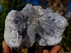 Natural Cabinet Size Blue Celestite Crystal Specimen x 1 From Sakoany Madagascar